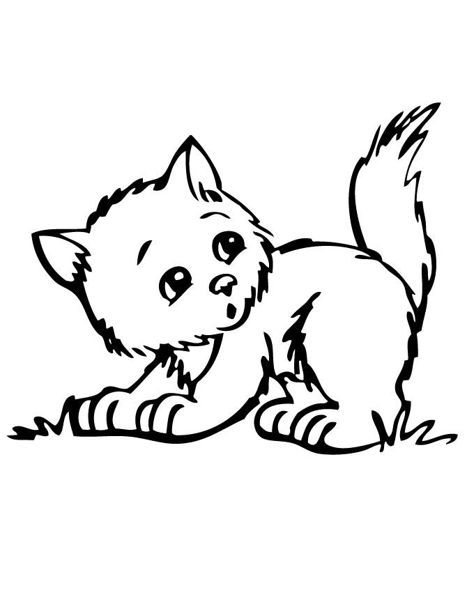 pictures of cute kittens Colouring Pages