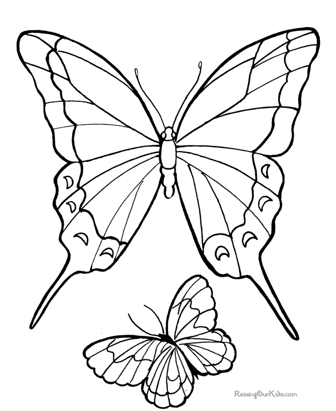 butterfly picture to print and color