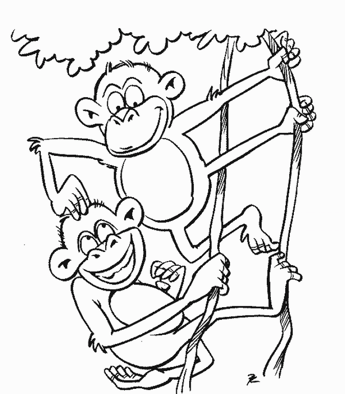 monkey picture to color | Coloring Picture HD For Kids | Fransus