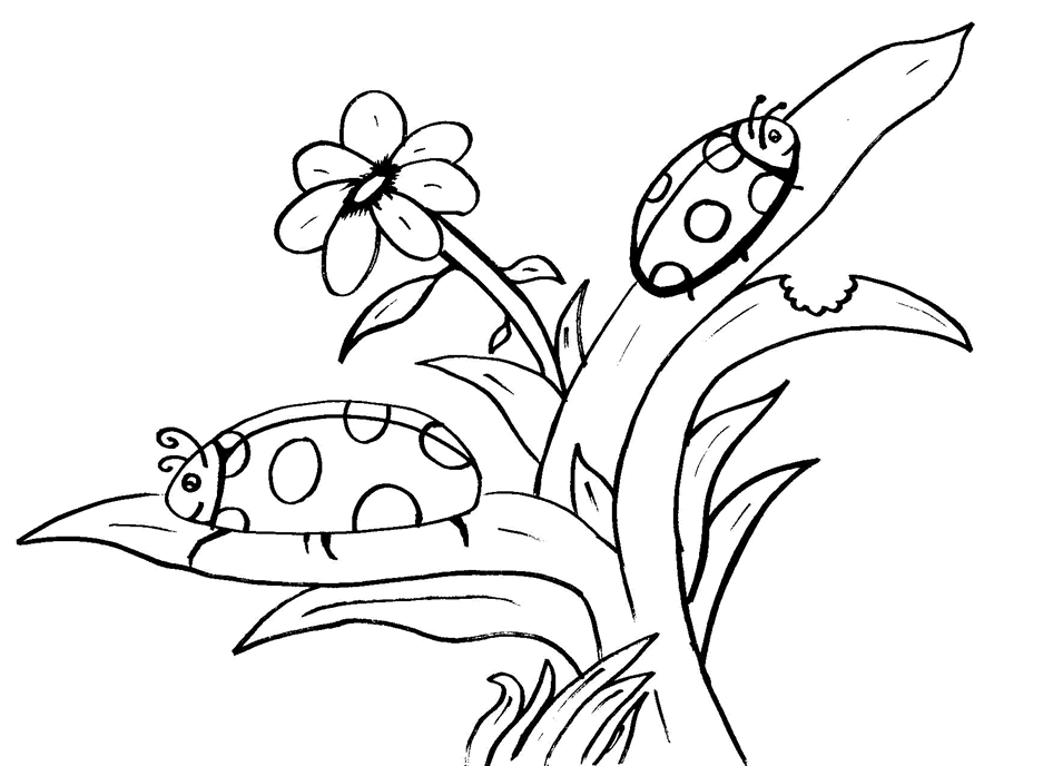 insect coloring | Coloring Picture HD For Kids | Fransus.com1000