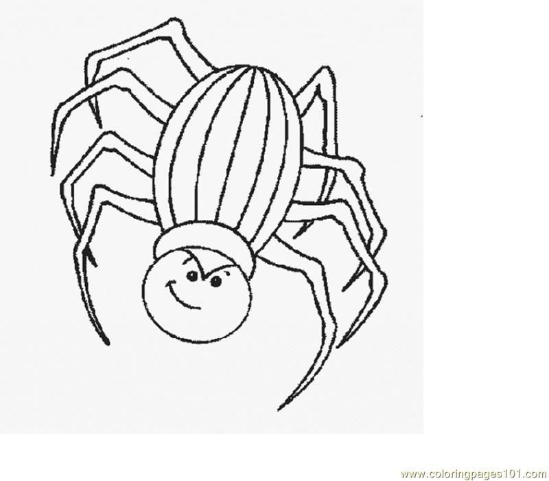 Printable Coloring Spiders