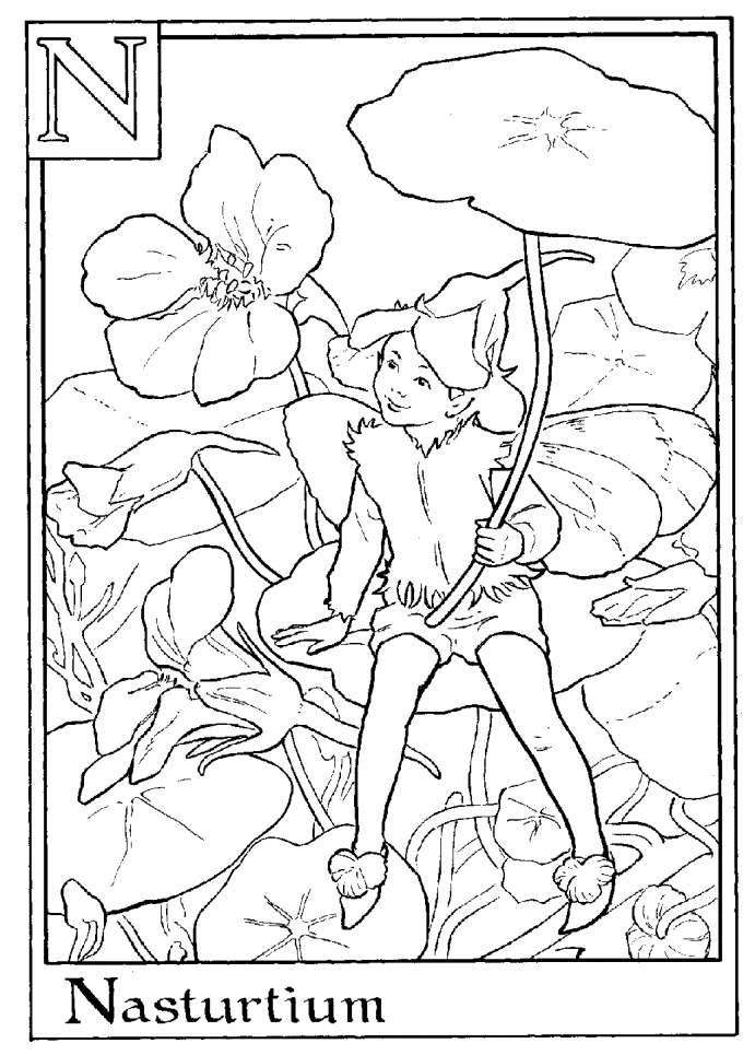 Print Letter N For Nasturtium Flower Fairy Coloring Page or