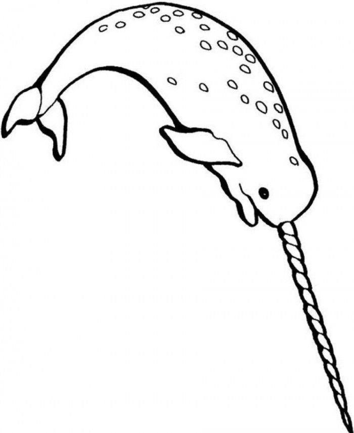 Narwhal Whale Coloring Page | 99coloring.com