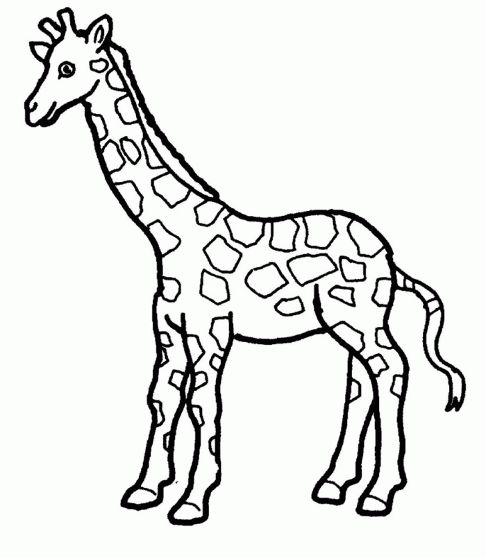 Giraffe Coloring Pages Crayola | 99coloring.com