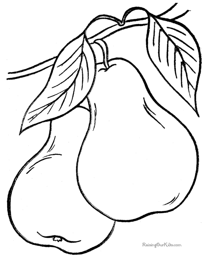 Pears coloring sheets to print and color | Educational Coloring Pages…