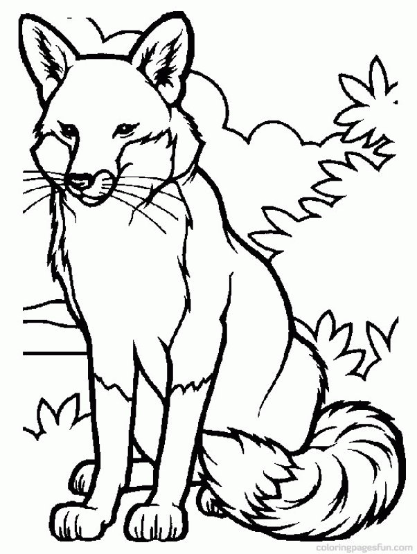 Fox Coloring Pages 2 | Free Printable Coloring Pages