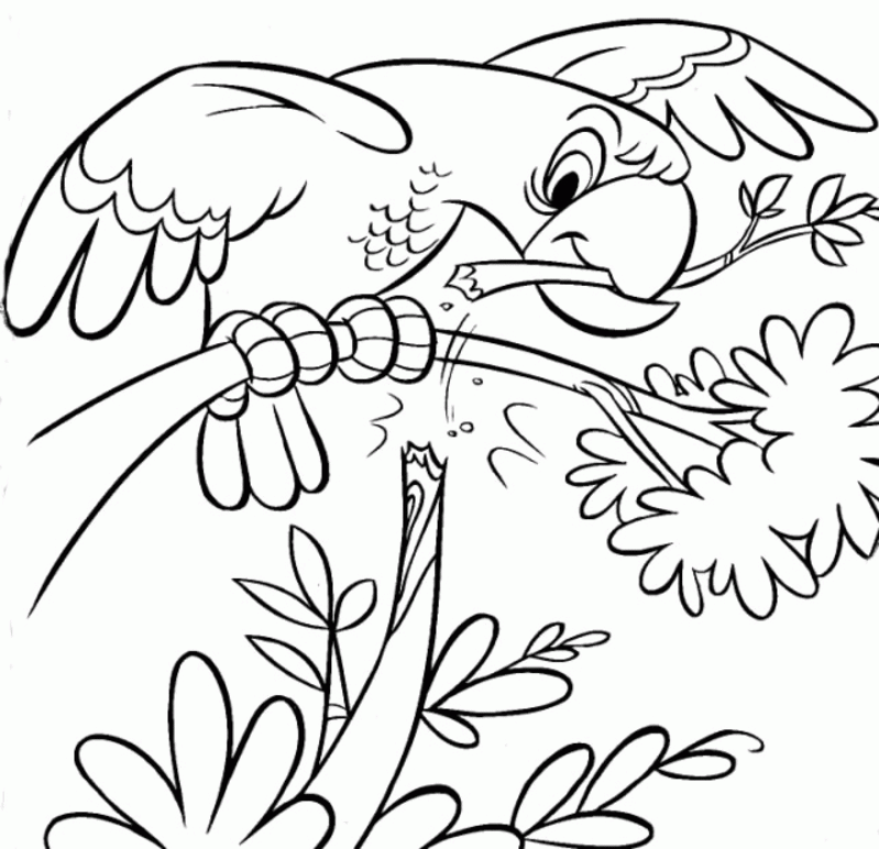 Parrot Bird Animals Coloring Pages | HelloColoring.com | Coloring
