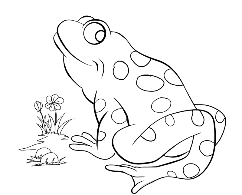 Frogs Coloring Pages - Free Coloring Pages For KidsFree Coloring