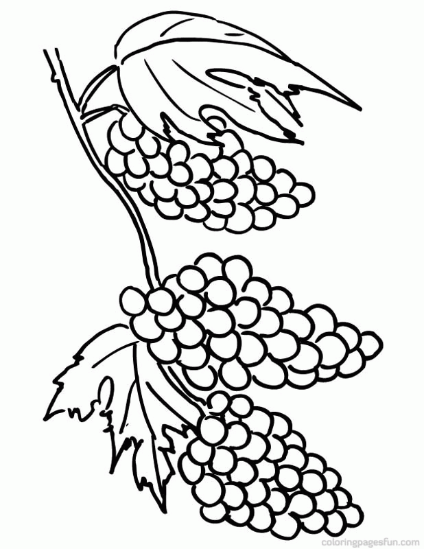 Grapes Clusters Coloring Pages | Free Printable Coloring Pages