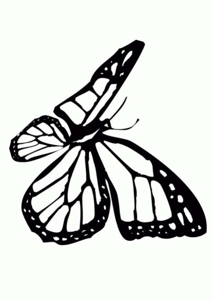 Butterfly Coloring Pages Crayola | 99coloring.com