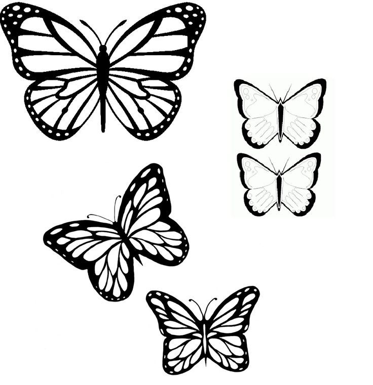 butterflies outline | tattoo