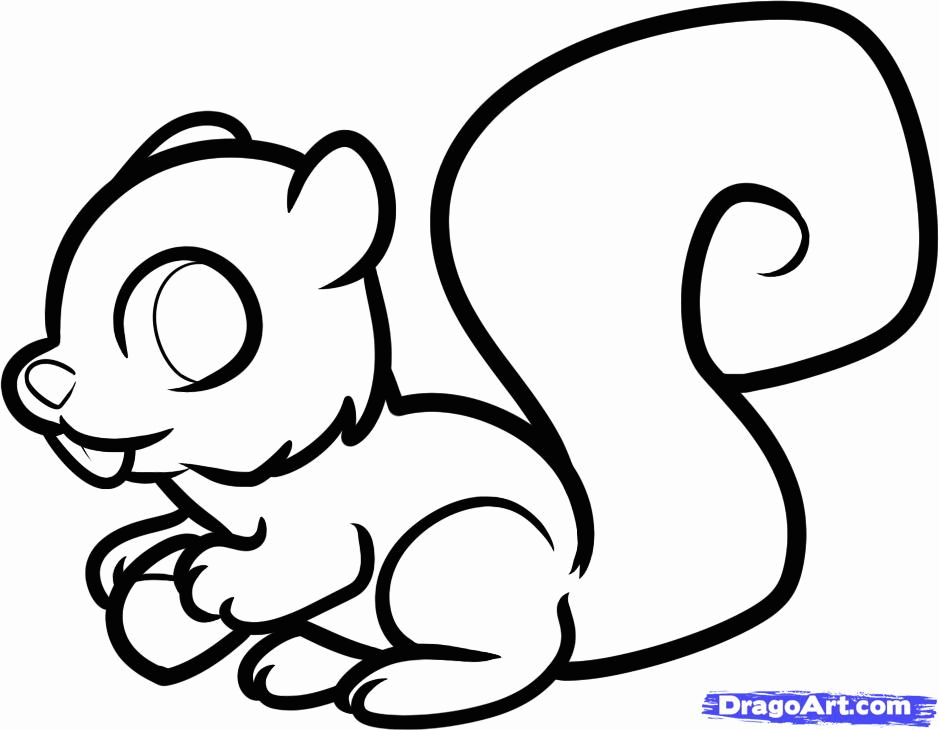 How to Draw a Squirrel for Kids, Step by Step, Animals For Kids