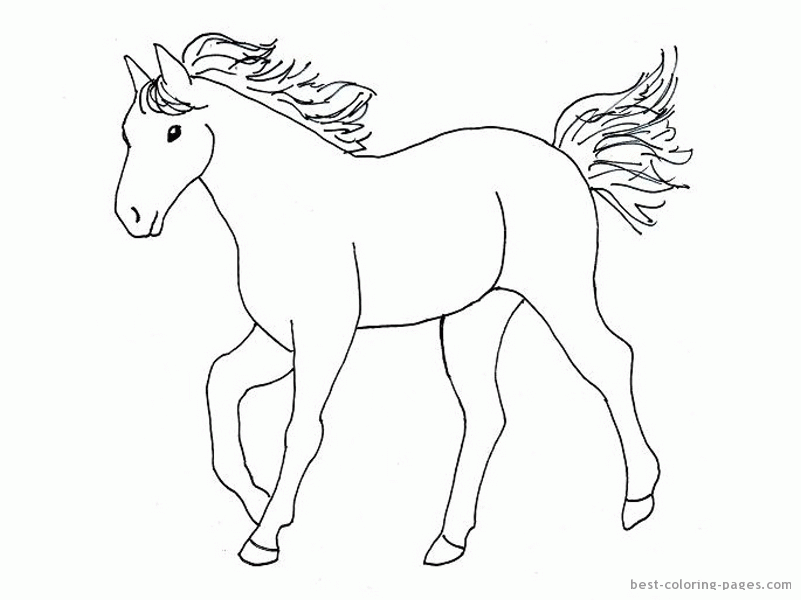 Horses-for-coloring-pictures-2 | Free Coloring Page Site