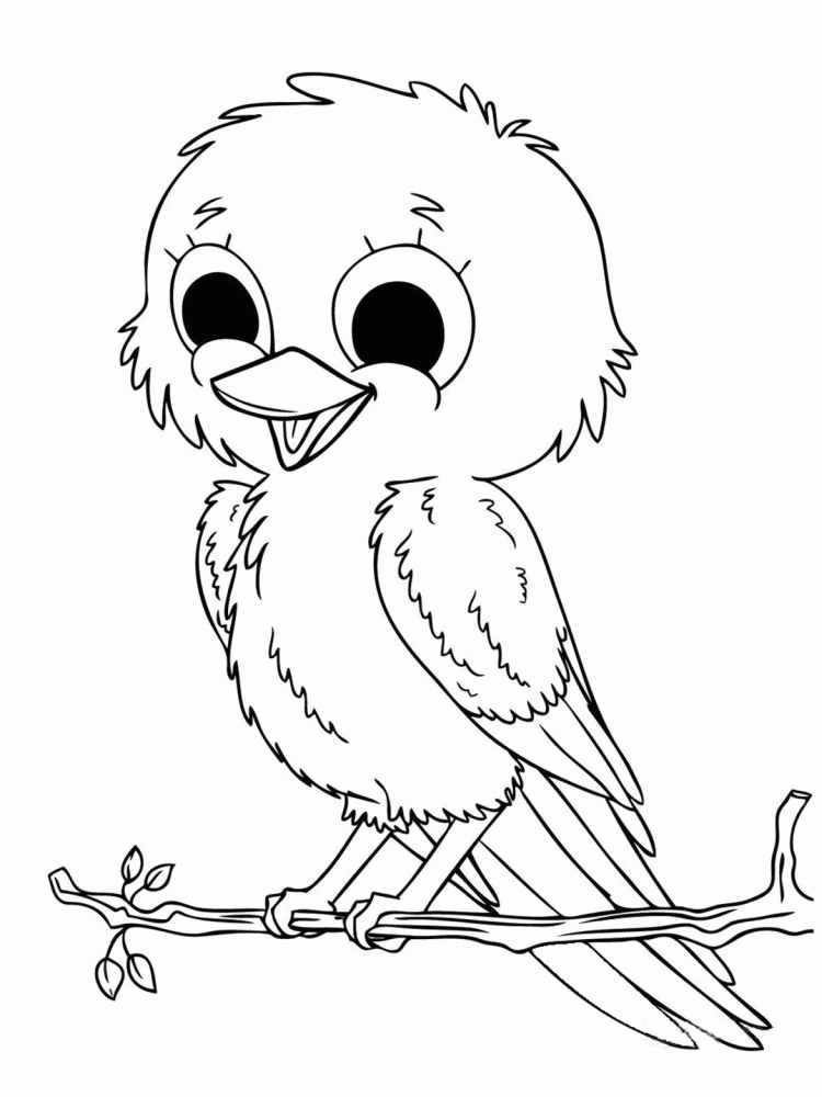 Hard Coloring Pages Of Birds Images & Pictures - Becuo