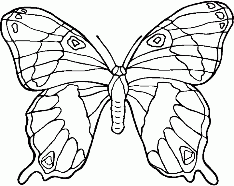 Mariposa Monarca Dibujo De Para Colorear Tattoo