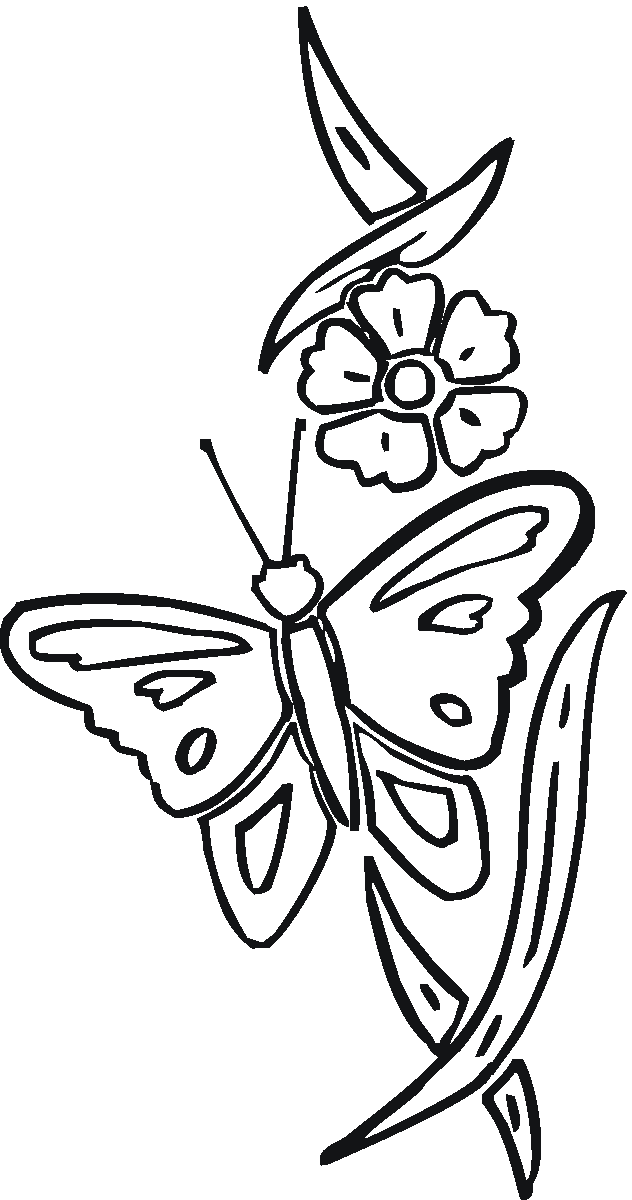 Bilingual Coloring Pages