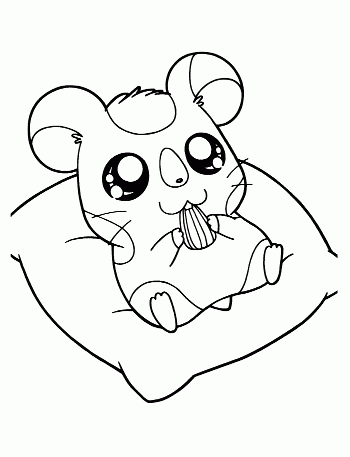 Hamster With Sun Flower Seed Coloring Page | Kids Coloring Page