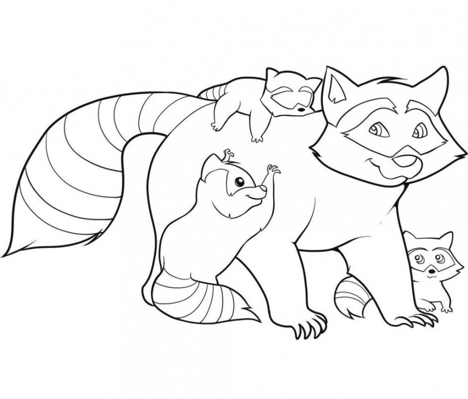 Young Racoon Dog Coloring Page Id 1241 Uncategorized Yoand 185961