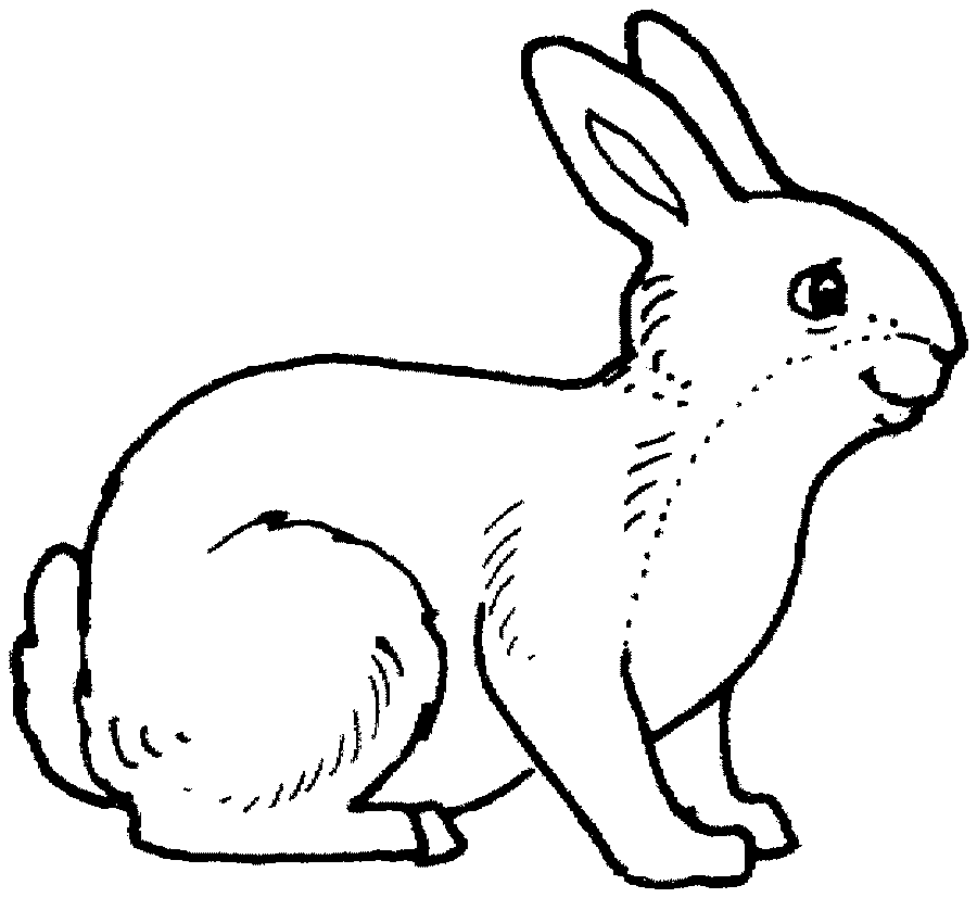 Rabbit coloring page – Animals Town – animals color sheet