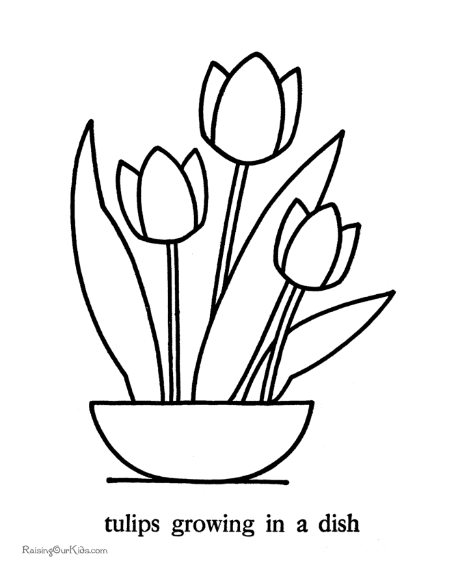 Tulips coloring pictures 035