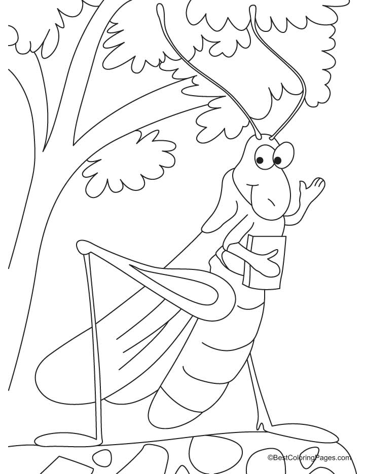 Canadian grasshopper coloring pages | Download Free Canadian