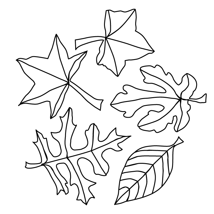 Coloring Pages Fall Leaves Fall Leaves Printable Version