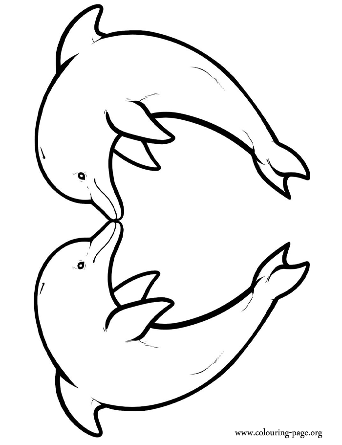 printable coloring page dolphins pages med mammals