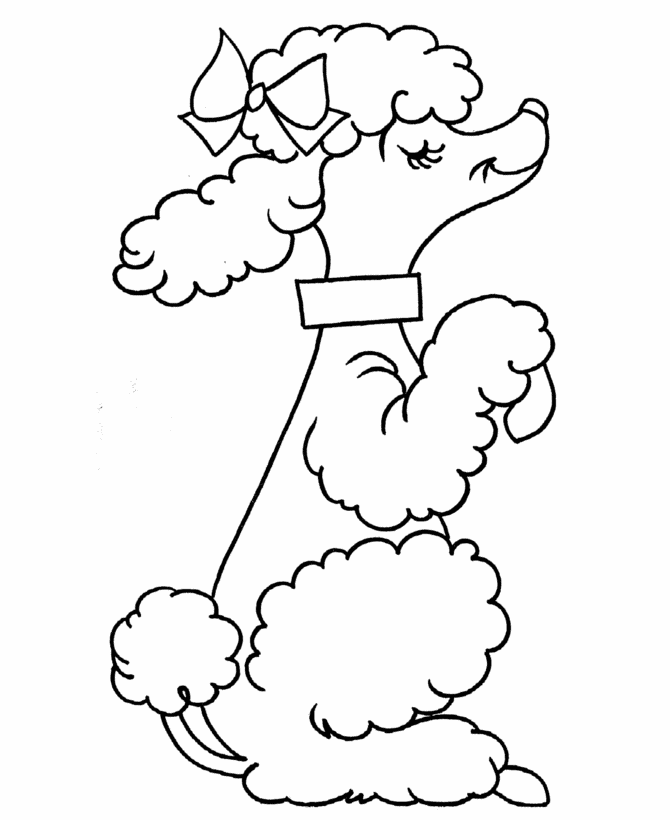 Poodle Coloring Pages For Kids | kids coloring pages | Printable