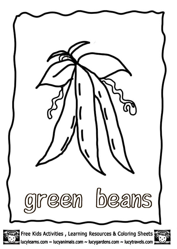 Vegetable Coloring Pages Growing Green Beans,Lucy Free Vegetable