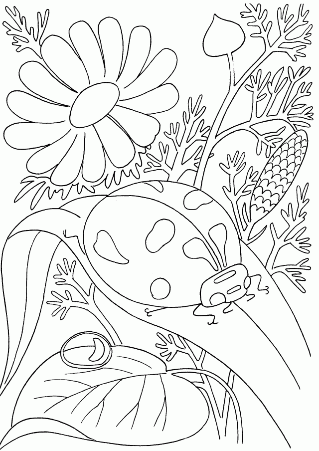 Get Your Coloring Pages Advanced For Disney Princesses Id 48297