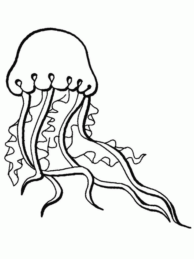 Sea Monsters Coloring Pages Coloring Book Area Best Source For