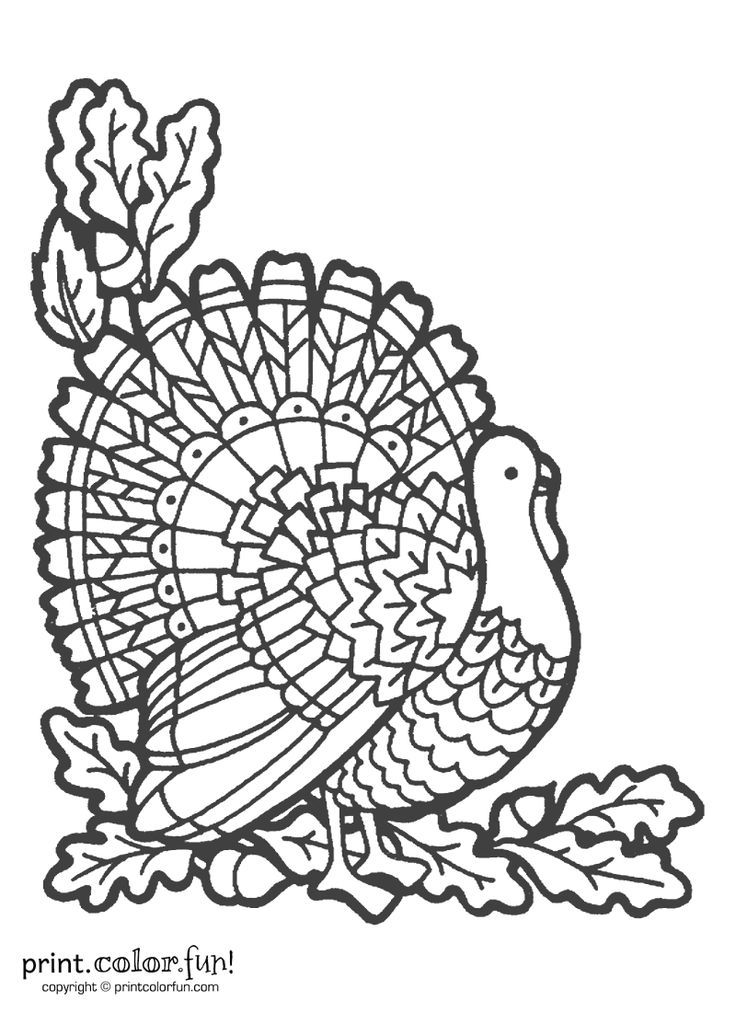 Printable turkey coloring page! | Fall