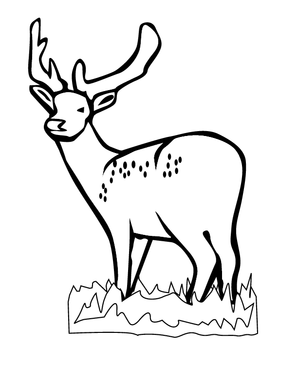 eps 8 deer printable coloring in pages for kids - number 2867 online