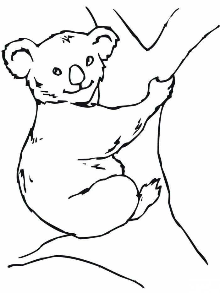 Koala Coloring Page Kids | 99coloring.com