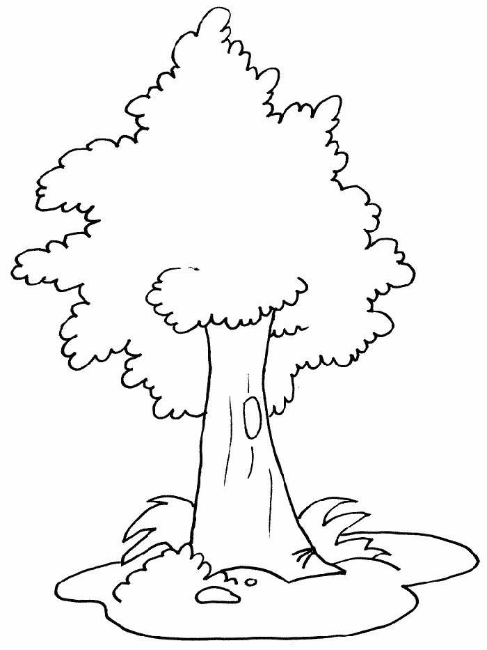 Big Printable tree coloring pages for kids | Great Coloring Pages