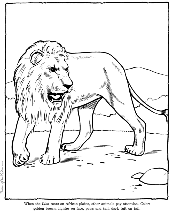 Lion coloring page sheet - Zoo animals | Coloring book pages | Pinter…