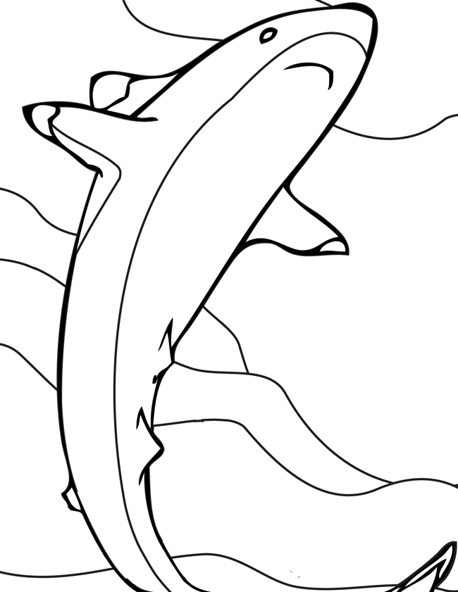 Reef Shark coloring page - Animals Town - animals color sheet