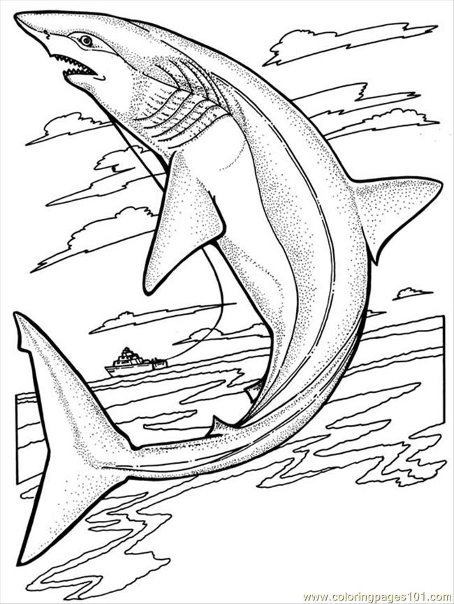 Coloring Pages Sharks (Fish > Shark) - free printable coloring