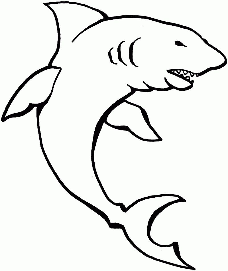Shark Coloring Pages To Print - HD Printable Coloring Pages