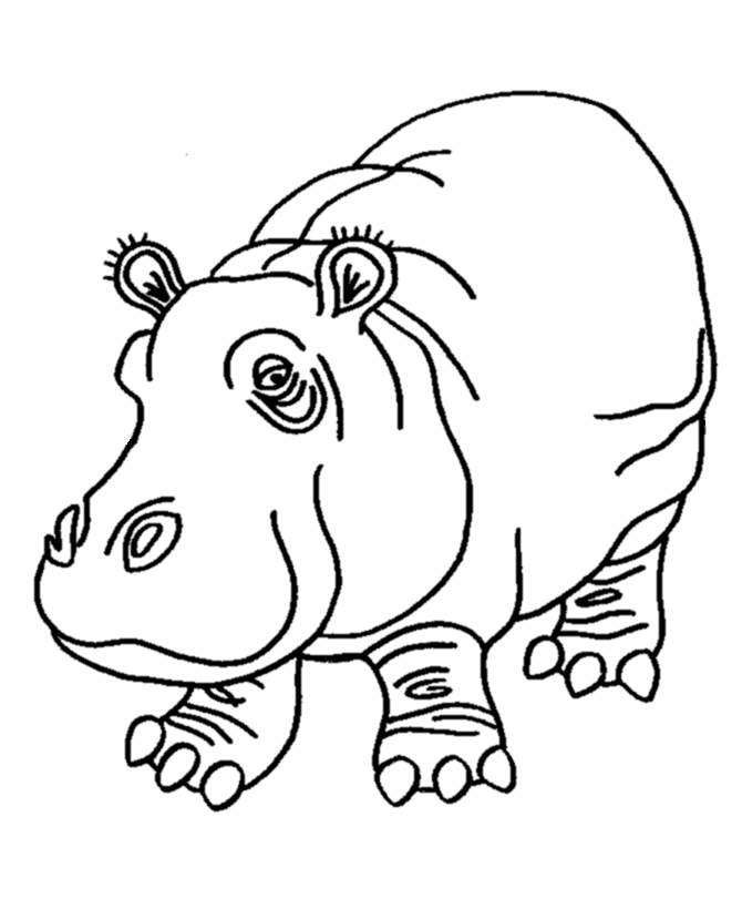 Baby Hippo Coloring Pages Wallpaper