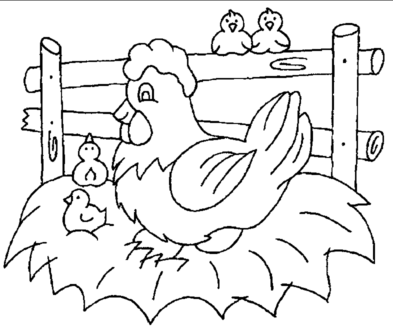 Hens) Chickens Coloring Pages Ideas