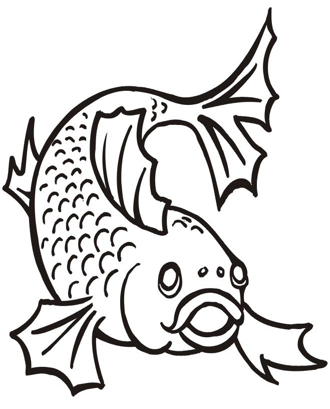 Goldfish Coloring Page | The Front View of a Goldfish