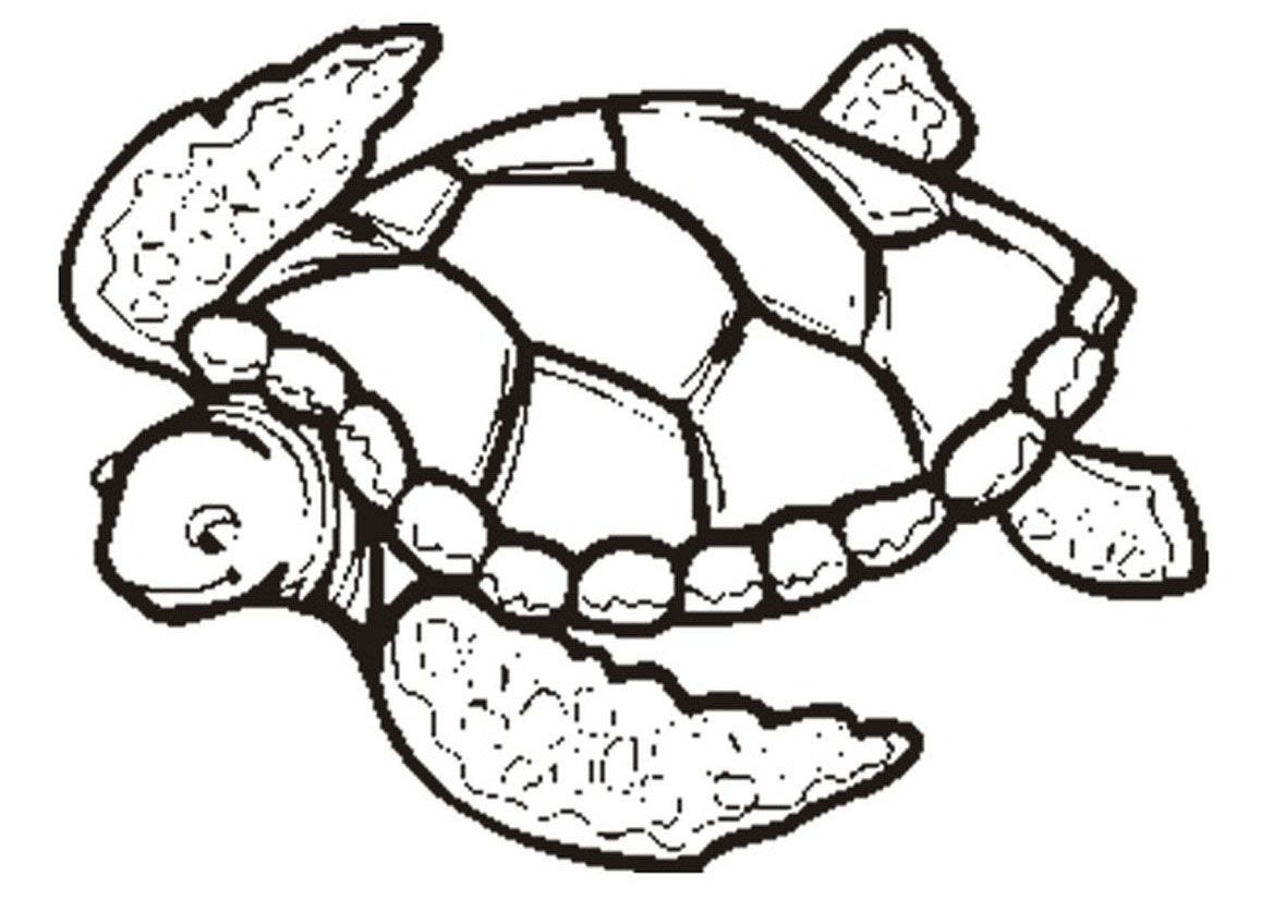 Turtle Coloring Pages Printable For Free