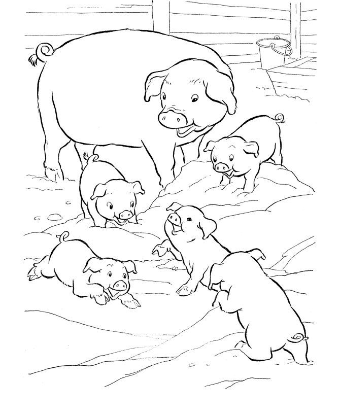 Farm Animal Coloring Pages | Pigs play in the mud Coloring Page