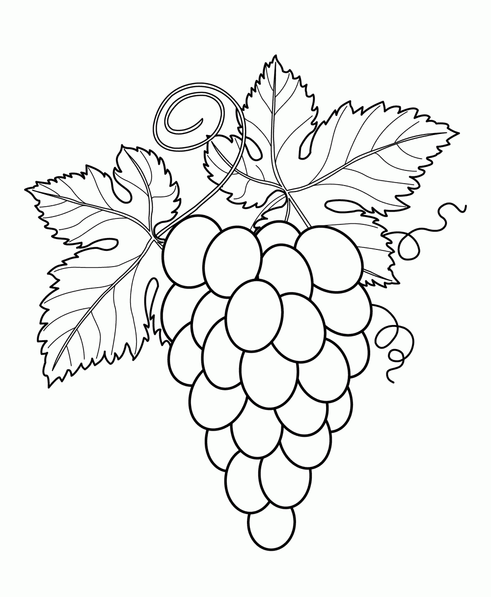 Fruits Coloring Pages Printable