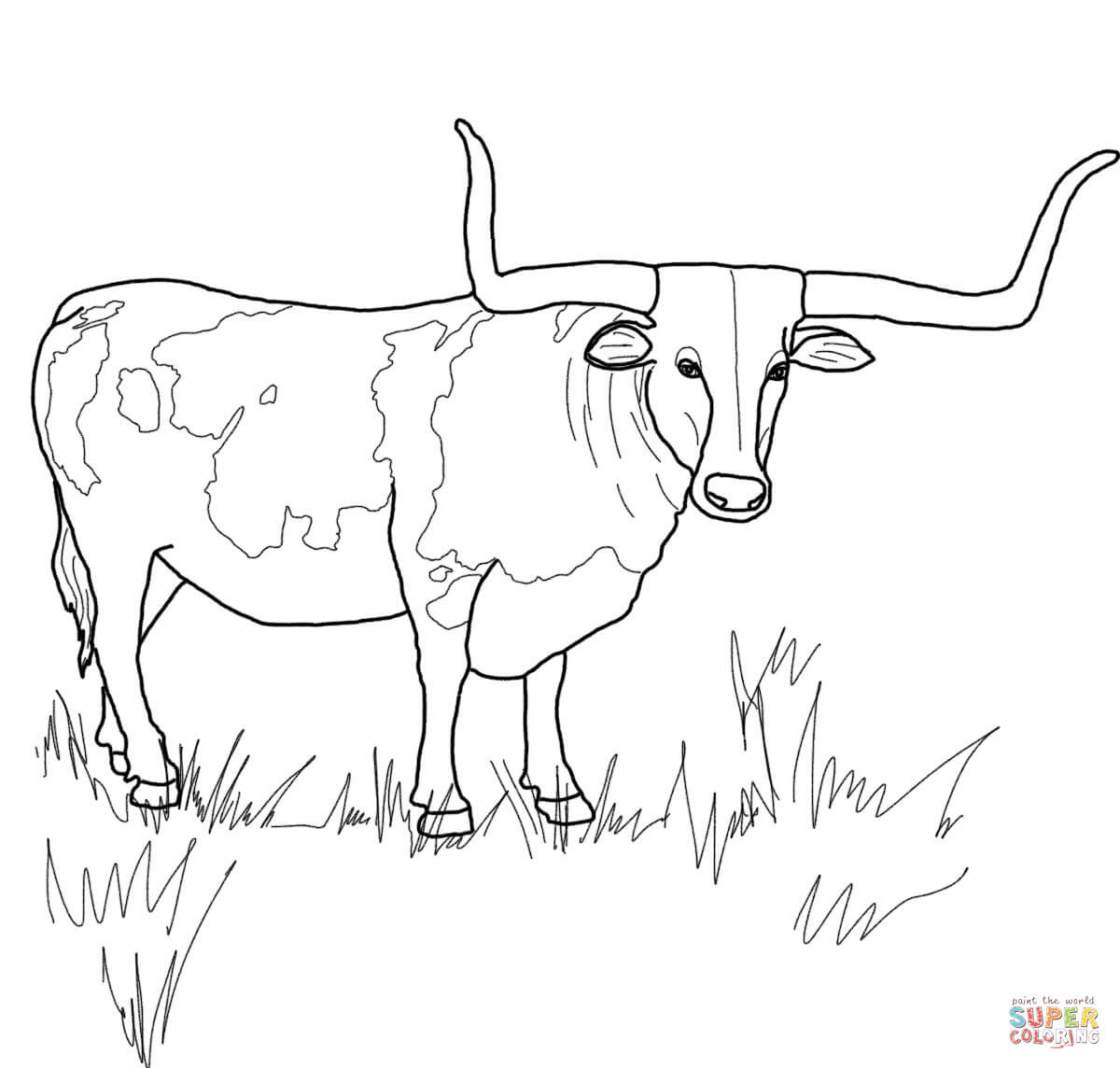 Bull Horn Coloring Page - Ð¡oloring Pages For All Ages