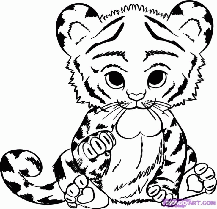 cat coloring pages cat cute baby animal. 1000 ideas about animal ...