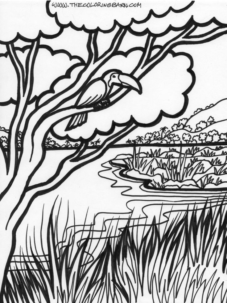 jungle coloring pages free | Description of Jungle Trees Coloring ...