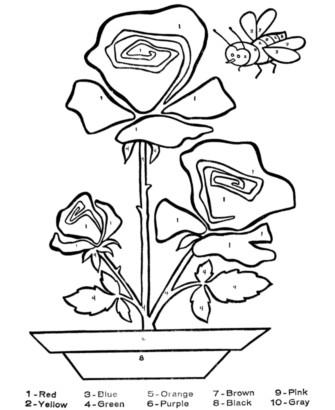 Color by Number Coloring Page | Learn to color by following the