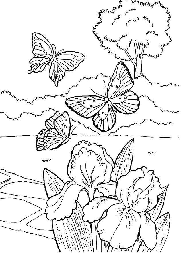 Beautiful Butterfly In The Garden Coloring Printable - Butterfly ...